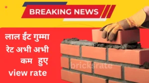 Red Bricks rate Bahraich एक ट्रॉली लाल ईंटों की कीमत सबसे कम दाम view now