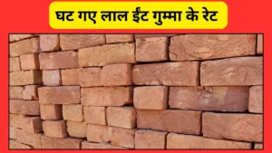 Pratapgarh लाल ईंट (Red Bricks)