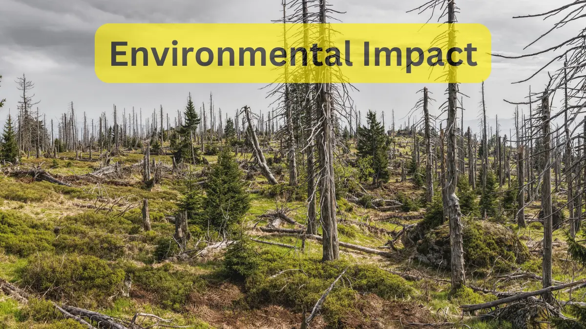 Environmental Impact