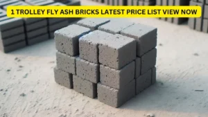 kushinagar 1 trolley fly ash bricks latest price list view now in hindi