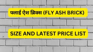 फ्लाई ऐश ब्रिक्स (fly ash brick)